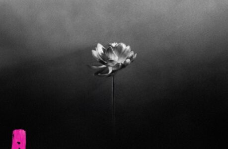 08 Lion (feat. Obongjayar)